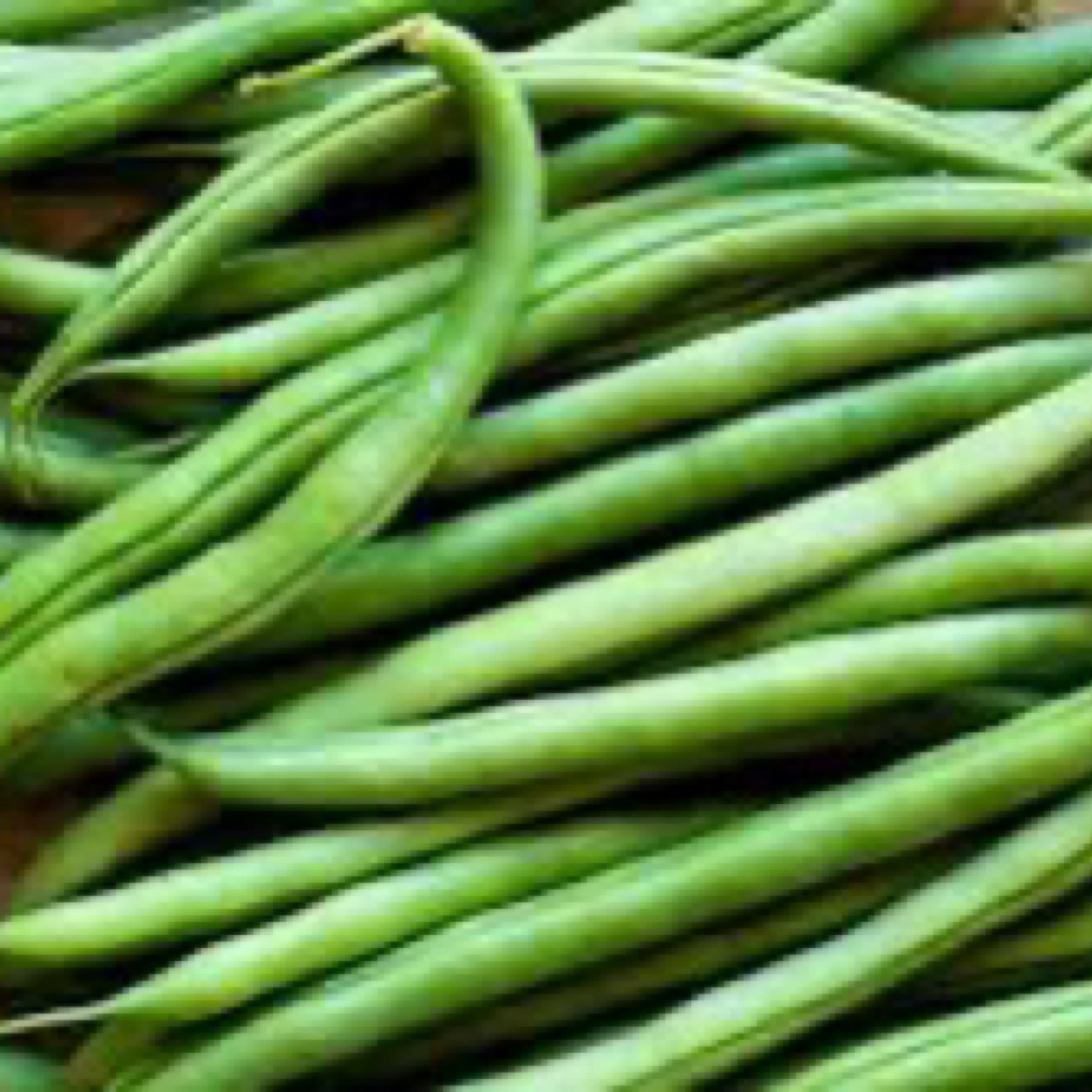 Why the Price Per Bushel of Beans is Making Everyone Nervous Right Now