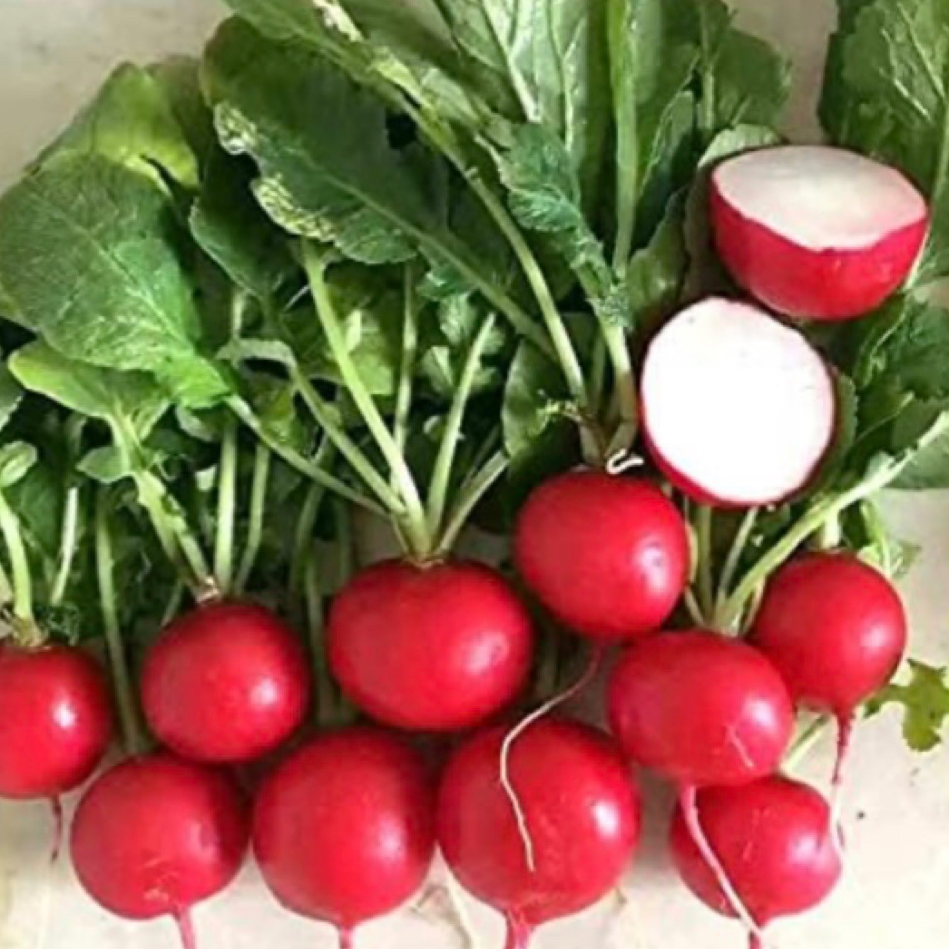 Radish Robertson Family Farm